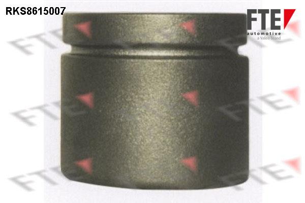 FTE RKS8615007 Brake caliper piston RKS8615007: Buy near me in Poland at 2407.PL - Good price!