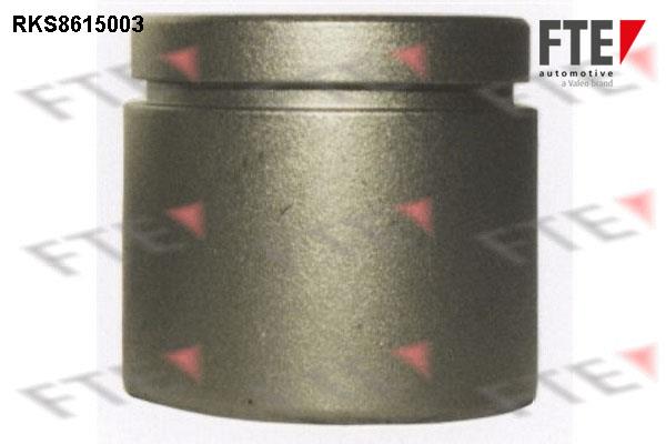 FTE RKS8615003 Brake caliper piston RKS8615003: Buy near me in Poland at 2407.PL - Good price!