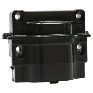 Delphi GN10216-11B1 Ignition coil GN1021611B1: Buy near me in Poland at 2407.PL - Good price!
