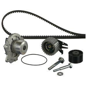 Delphi KWP1898317 TIMING BELT KIT WITH WATER PUMP KWP1898317: Buy near me in Poland at 2407.PL - Good price!