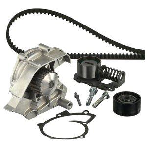 Delphi KWP1756119 TIMING BELT KIT WITH WATER PUMP KWP1756119: Buy near me in Poland at 2407.PL - Good price!