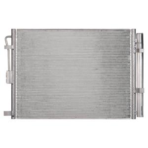 Delphi CF20304 Condenser, air conditioning CF20304: Buy near me in Poland at 2407.PL - Good price!
