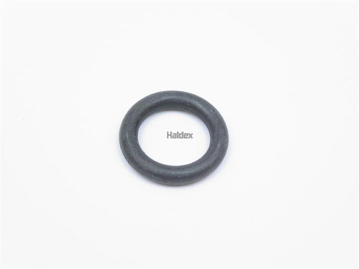 Haldex 024016509 O-Ring, cylinder sleeve 024016509: Buy near me at 2407.PL in Poland at an Affordable price!