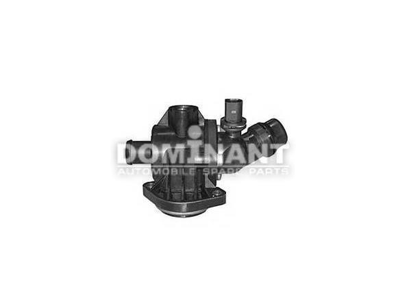 Dominant AW06F01210111 Thermostat, coolant AW06F01210111: Buy near me in Poland at 2407.PL - Good price!