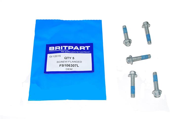 Britpart FS106307L Болт FS106307L: Отличная цена - Купить в Польше на 2407.PL!