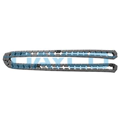Dayco TCH1028 Timing chain TCH1028: Buy near me in Poland at 2407.PL - Good price!