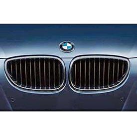 BMW 51 71 2 155 447 Performance Black Kidney Grille - Left 51712155447: Buy near me at 2407.PL in Poland at an Affordable price!