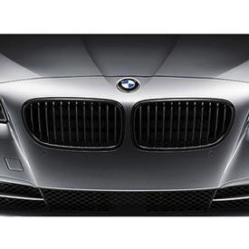 BMW 51 71 2 165 528 Решітка радіатора 51712165528: Купити у Польщі - Добра ціна на 2407.PL!