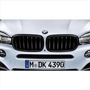 BMW 51 71 2 334 708 Grille radiator 51712334708: Buy near me at 2407.PL in Poland at an Affordable price!