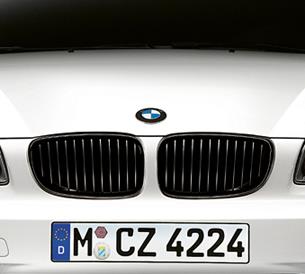 BMW 51 71 2 146 912 Grille radiator 51712146912: Buy near me in Poland at 2407.PL - Good price!
