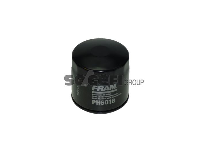 Fram PH6018 Масляный фильтр PH6018: Отличная цена - Купить в Польше на 2407.PL!