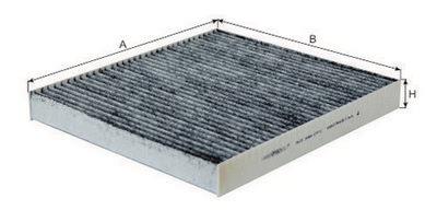 Goodwill AG 384 CFC Activated Carbon Cabin Filter AG384CFC: Buy near me in Poland at 2407.PL - Good price!