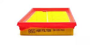 BSG 30-135-024 Air filter 30135024: Buy near me in Poland at 2407.PL - Good price!