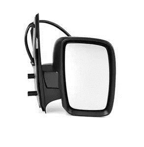 BSG 70-900-034 Outside Mirror 70900034: Buy near me in Poland at 2407.PL - Good price!