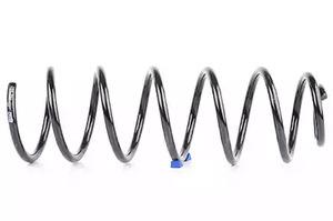 BSG 65-305-007 Coil Spring 65305007: Buy near me in Poland at 2407.PL - Good price!