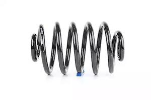 BSG 65-305-019 Coil Spring 65305019: Buy near me in Poland at 2407.PL - Good price!