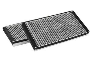 BSG 15-145-010 Activated Carbon Cabin Filter 15145010: Buy near me in Poland at 2407.PL - Good price!