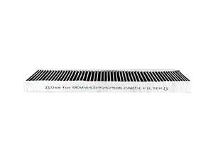 BSG 15-145-007 Activated Carbon Cabin Filter 15145007: Buy near me in Poland at 2407.PL - Good price!