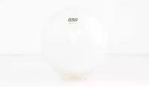 BSG 70-550-009 Expansion Tank, coolant 70550009: Buy near me in Poland at 2407.PL - Good price!