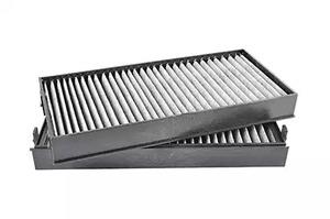 BSG 15-145-005 Activated Carbon Cabin Filter 15145005: Buy near me in Poland at 2407.PL - Good price!