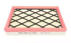 BSG 65-135-017 Air filter 65135017: Buy near me in Poland at 2407.PL - Good price!