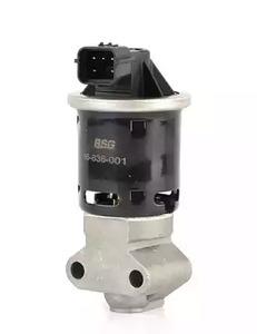 BSG 16-836-001 Клапан рециркуляции отработанных газов EGR 16836001: Отличная цена - Купить в Польше на 2407.PL!
