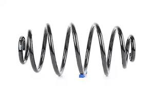 BSG 65-305-018 Coil Spring 65305018: Buy near me in Poland at 2407.PL - Good price!