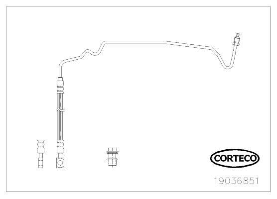 Corteco 19036851 Brake Hose 19036851: Buy near me in Poland at 2407.PL - Good price!