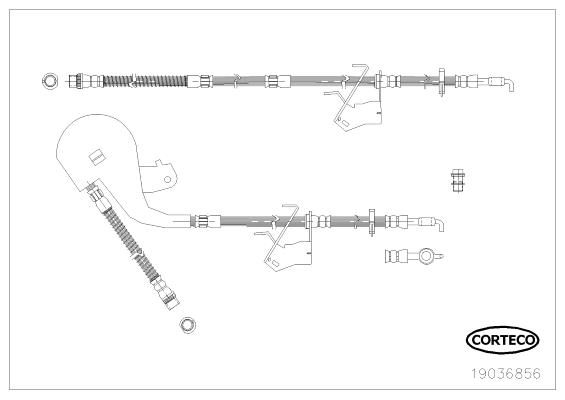 Corteco 19036856 Brake Hose 19036856: Buy near me in Poland at 2407.PL - Good price!