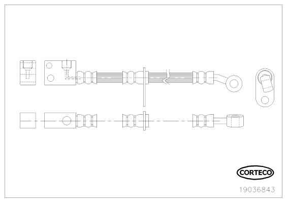 Corteco 19036843 Bremsschlauch 19036843: Kaufen Sie zu einem guten Preis in Polen bei 2407.PL!