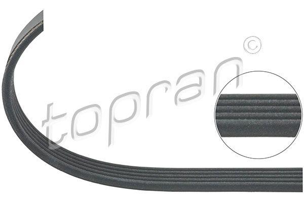 Topran 407 915 V-ribbed belt 5PK768 407915: Buy near me in Poland at 2407.PL - Good price!