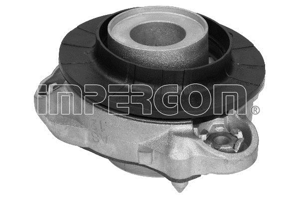Impergom 29169 Strut bearing with bearing kit 29169: Buy near me in Poland at 2407.PL - Good price!
