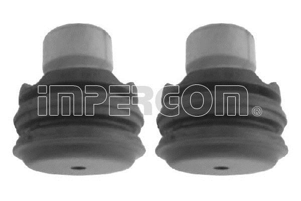 Impergom 51270 Dustproof kit for 2 shock absorbers 51270: Buy near me in Poland at 2407.PL - Good price!