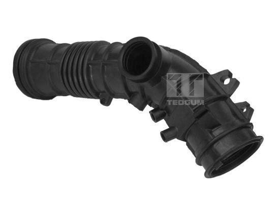 TedGum 00262155 Intake Hose, air filter 00262155: Buy near me in Poland at 2407.PL - Good price!