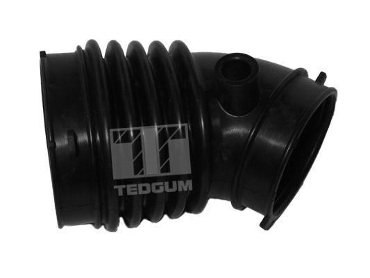 TedGum 00392460 Intake Hose, air filter 00392460: Buy near me in Poland at 2407.PL - Good price!