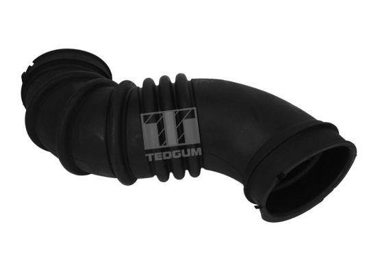 TedGum 00672211 Intake Hose, air filter 00672211: Buy near me in Poland at 2407.PL - Good price!