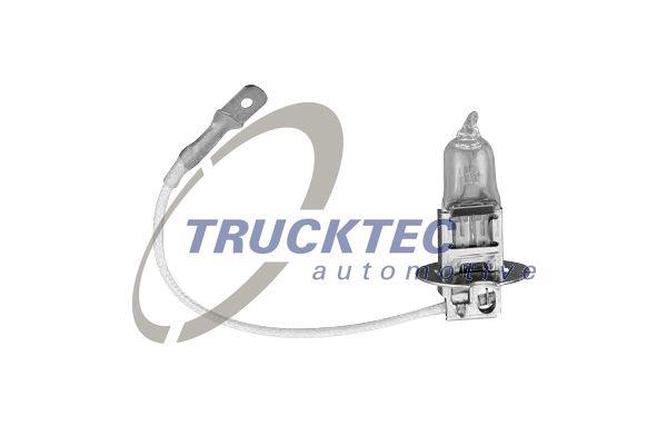 Trucktec 05.58.069 Halogen lamp 12V H7 55W 0558069: Buy near me in Poland at 2407.PL - Good price!