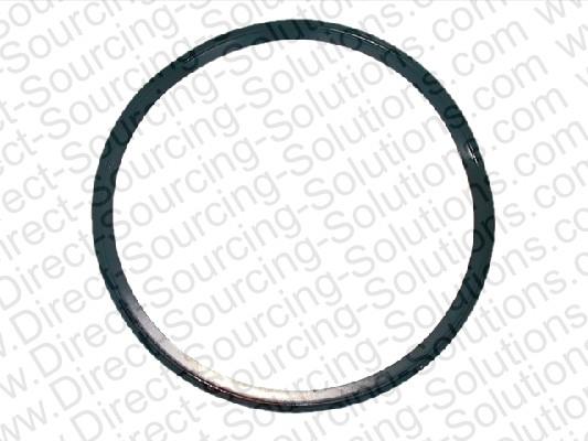 DSS 202404 Gasket, water pump 202404: Buy near me in Poland at 2407.PL - Good price!
