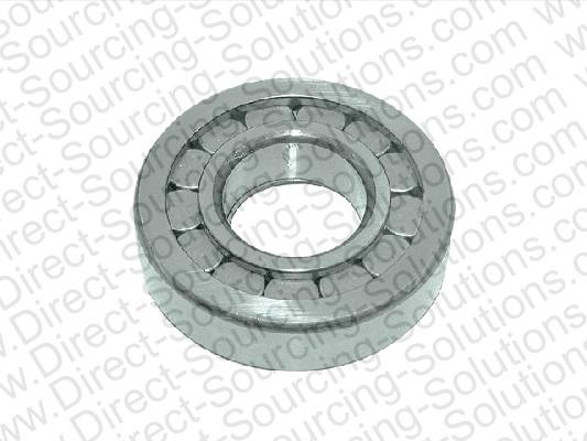 DSS 270017 Bearing Differential 270017: Buy near me in Poland at 2407.PL - Good price!