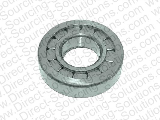 DSS 270069 Bearing Differential 270069: Buy near me in Poland at 2407.PL - Good price!