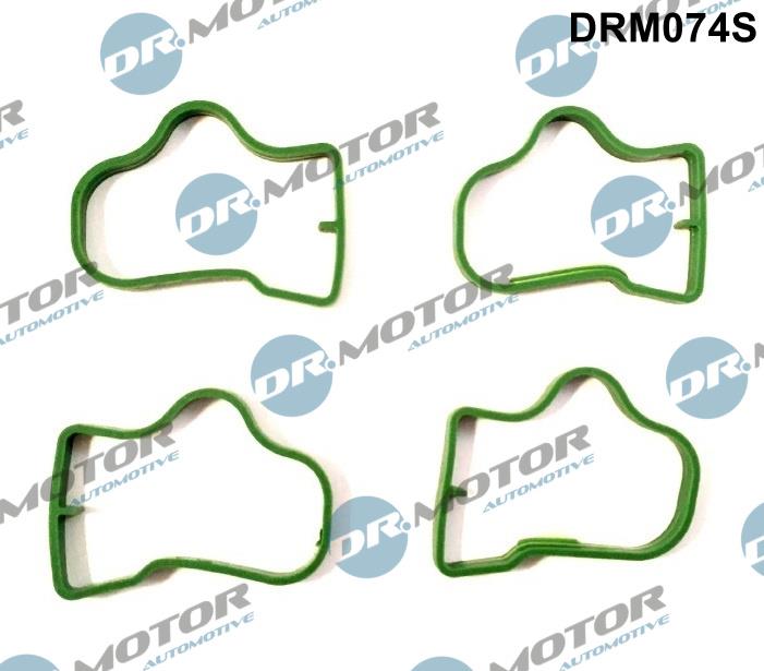 Dr.Motor DRM074S Intake manifold gaskets, kit DRM074S: Buy near me at 2407.PL in Poland at an Affordable price!