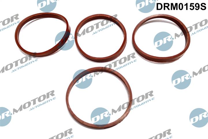 Dr.Motor DRM0159S Intake manifold gaskets, kit DRM0159S: Buy near me in Poland at 2407.PL - Good price!