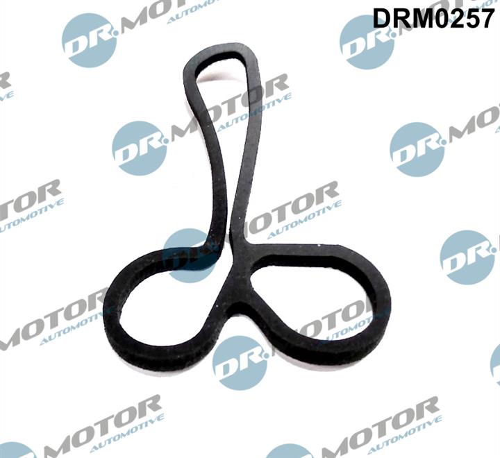 Dr.Motor DRM0257 Oil cooler gasket DRM0257: Buy near me in Poland at 2407.PL - Good price!