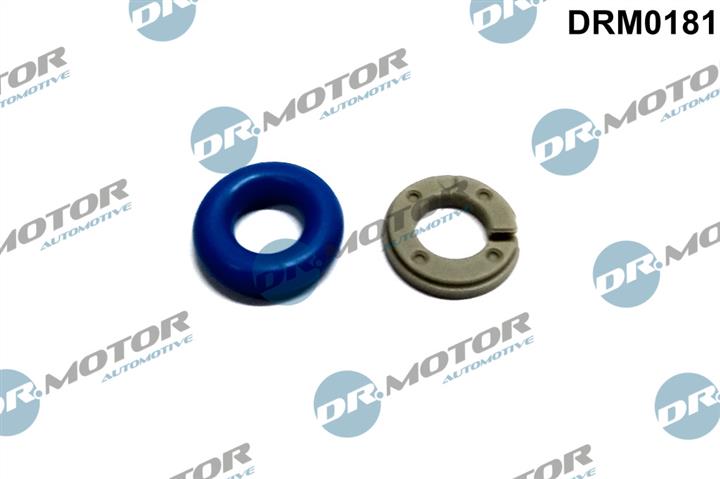 Dr.Motor DRM0181 Fuel injector repair kit DRM0181: Buy near me in Poland at 2407.PL - Good price!