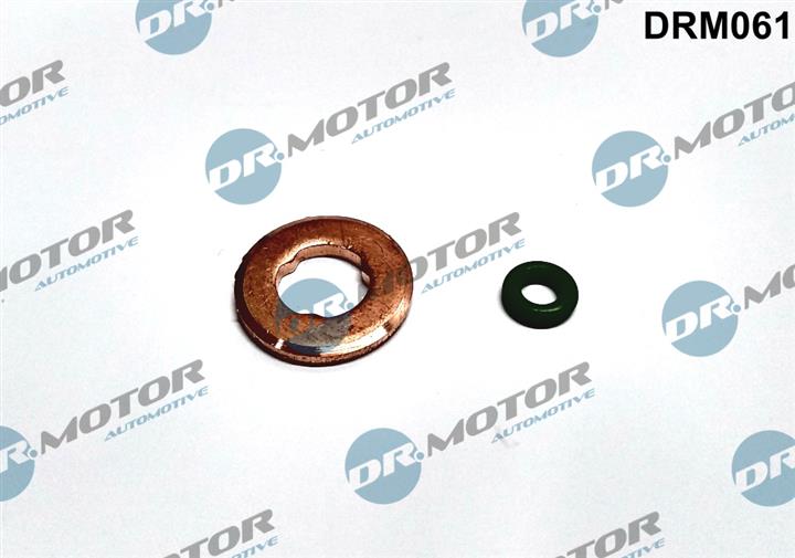 Dr.Motor DRM061 Seal Kit, injector nozzle DRM061: Buy near me in Poland at 2407.PL - Good price!