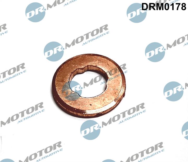 Dr.Motor DRM0178 Seal Ring, injector DRM0178: Buy near me in Poland at 2407.PL - Good price!