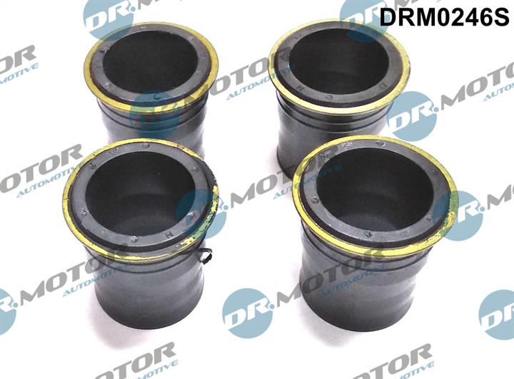 Dr.Motor DRM0246S Fuel injector bushing DRM0246S: Buy near me in Poland at 2407.PL - Good price!
