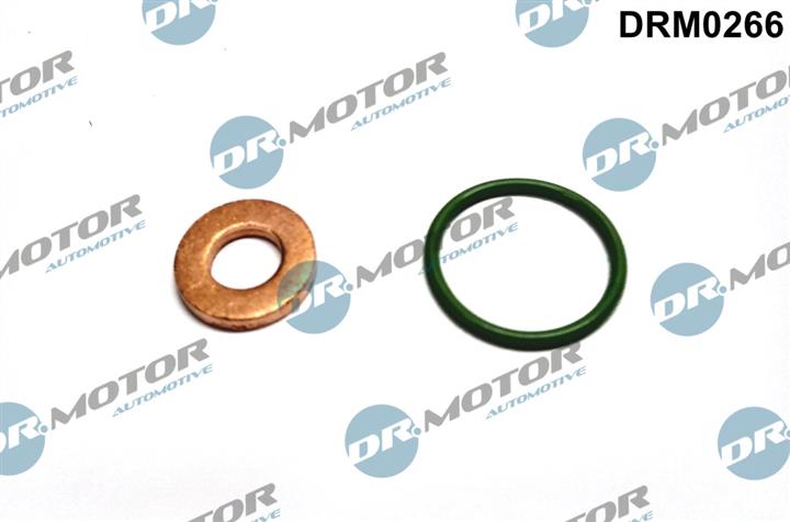 Dr.Motor DRM0266 Fuel injector repair kit DRM0266: Buy near me in Poland at 2407.PL - Good price!