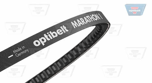 Optibelt 2/AVX 10 X 1200 Drive belt kit 2AVX10X1200: Buy near me at 2407.PL in Poland at an Affordable price!