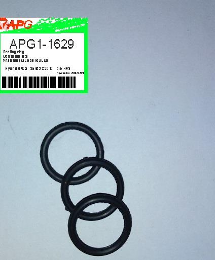 APG APG1-1629 Ring sealing APG11629: Buy near me in Poland at 2407.PL - Good price!